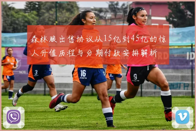 森林狼出售协议从15亿到45亿的惊人升值历程与分期付款安排解析